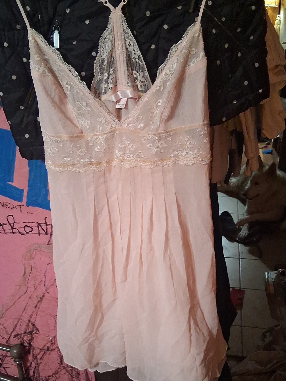 Victoria's Secret Pale Pink Lace-Trim Chemise